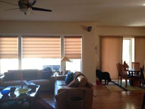 Cellular Shades Different Styles (10)