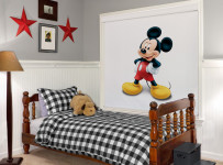Disney Mickey Shade