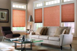 Cellular Shades Different Styles (11)
