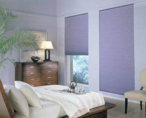 Cellular Shades Different Styles (6)