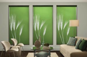 Persona By Comfortex ( Roller Shades) (1)