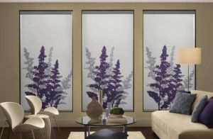 Persona By Comfortex ( Roller Shades) (2)