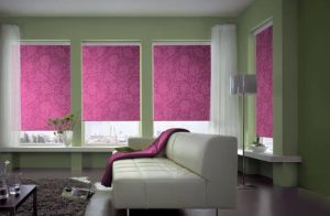 Persona By Comfortex ( Roller Shades) (6)