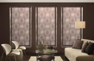 Persona By Comfortex ( Roller Shades) (9)
